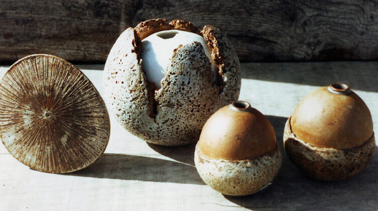 Abbortsford 1984 - 1988