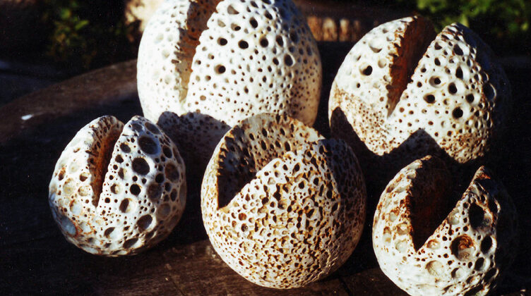 Whitty Down Farm, Higher Rocombe, Dorset. 1988 - 2002