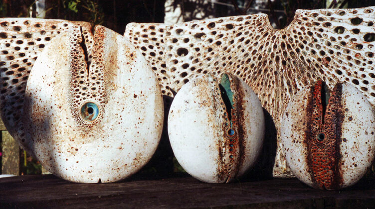 Whitty Down Farm, Higher Rocombe, Dorset. 1988 - 2002