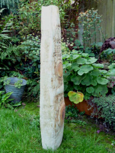 Large Oblong Form