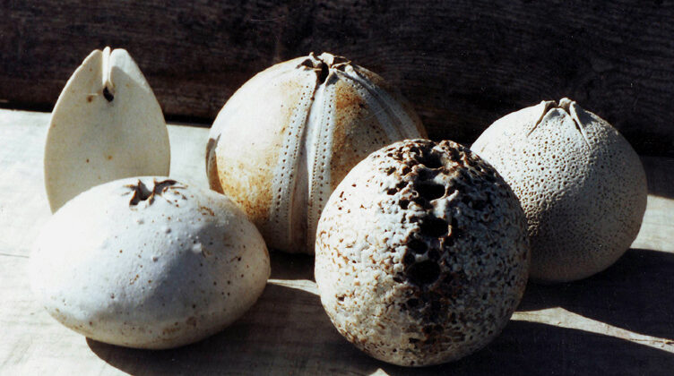 Abbortsford 1984 - 1988