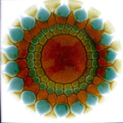 Tile by Alan Wallwork