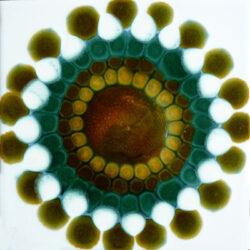 Tile by Alan Wallwork