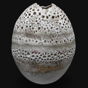 Pierced and Indented Sedimentary Oval