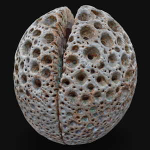 Pierced Sphere