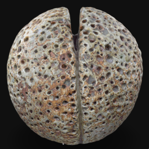 Wide Pierced Cleft Sphere
