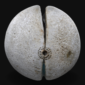 Split Navel Oval