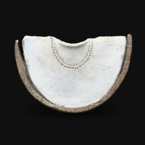 Encrusted Wedge Crescent
