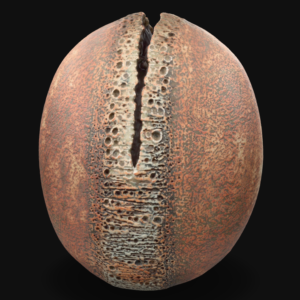 Torn Oval