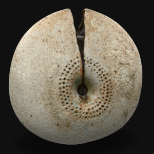 Split Navel Oval
