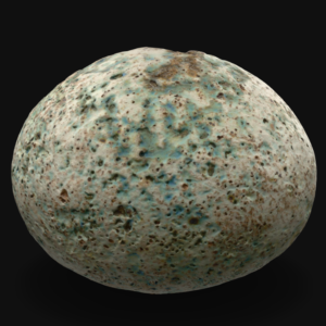 Egg Form
