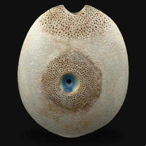 Pierced Navel Oval