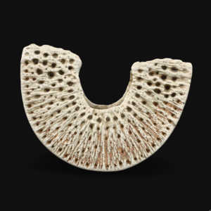 Pierced Crescent
