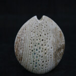 Indented Oval