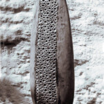 Tall Indented Oval Form