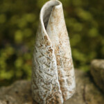 Shell Form