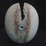 Torn Oval