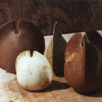 Small Seedcases