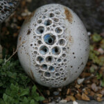 Pebble Form