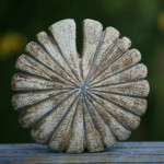 Radiant Oval