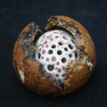 Pierced Opening Form