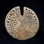 Pierced Oval