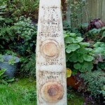 Oblong 'Relic' Form